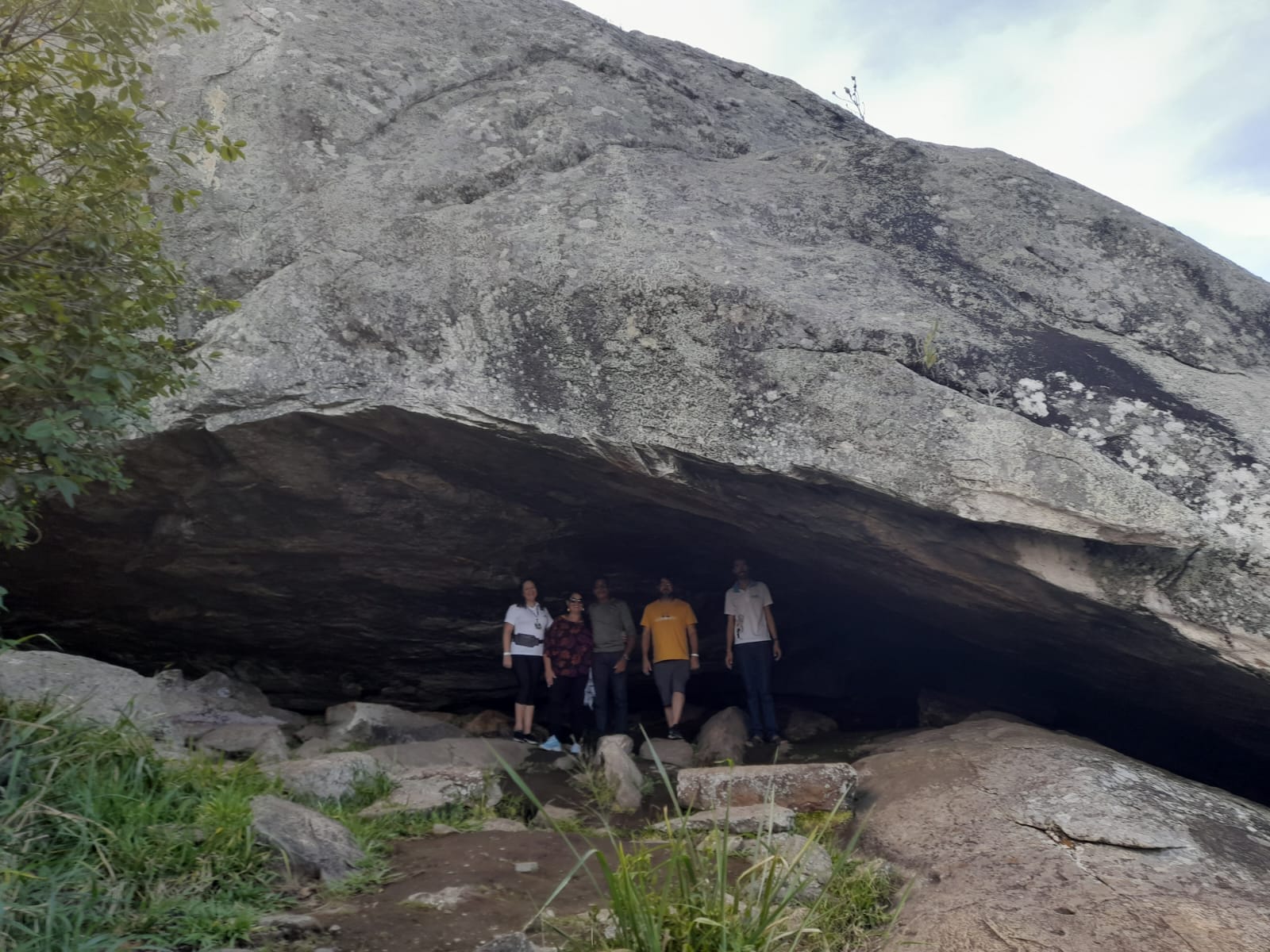 WhatsApp Image 2023-04-24 at 09.33.15.jpeg